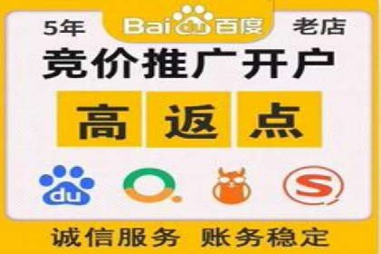 高效SEM广告投放实战技巧